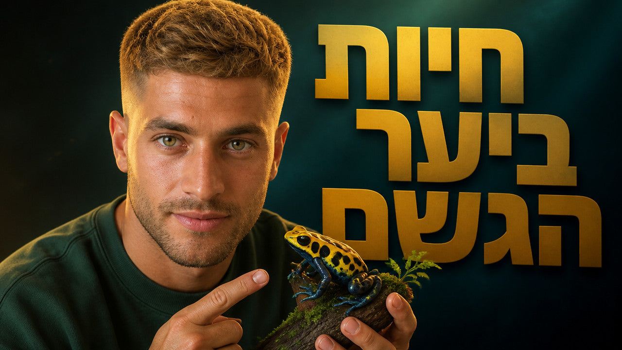 אילו בעלי חיים חיים ביערות הגשם הטרופיים? המדריך המלא