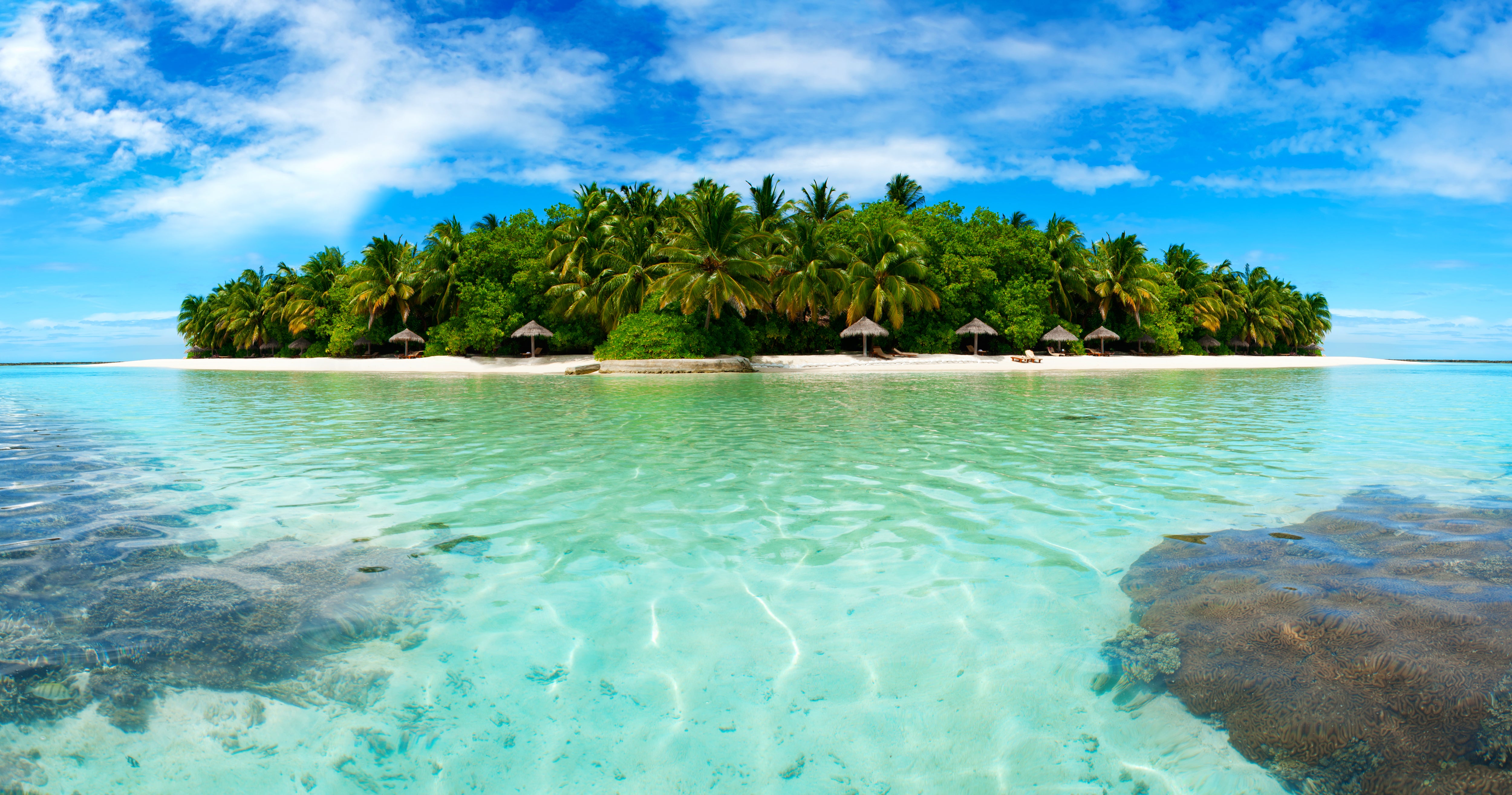 TROPICAL BLOCKS